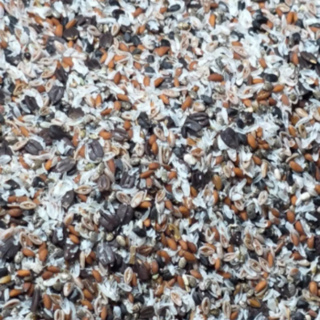 সিড মিক্স (এক কেজি)